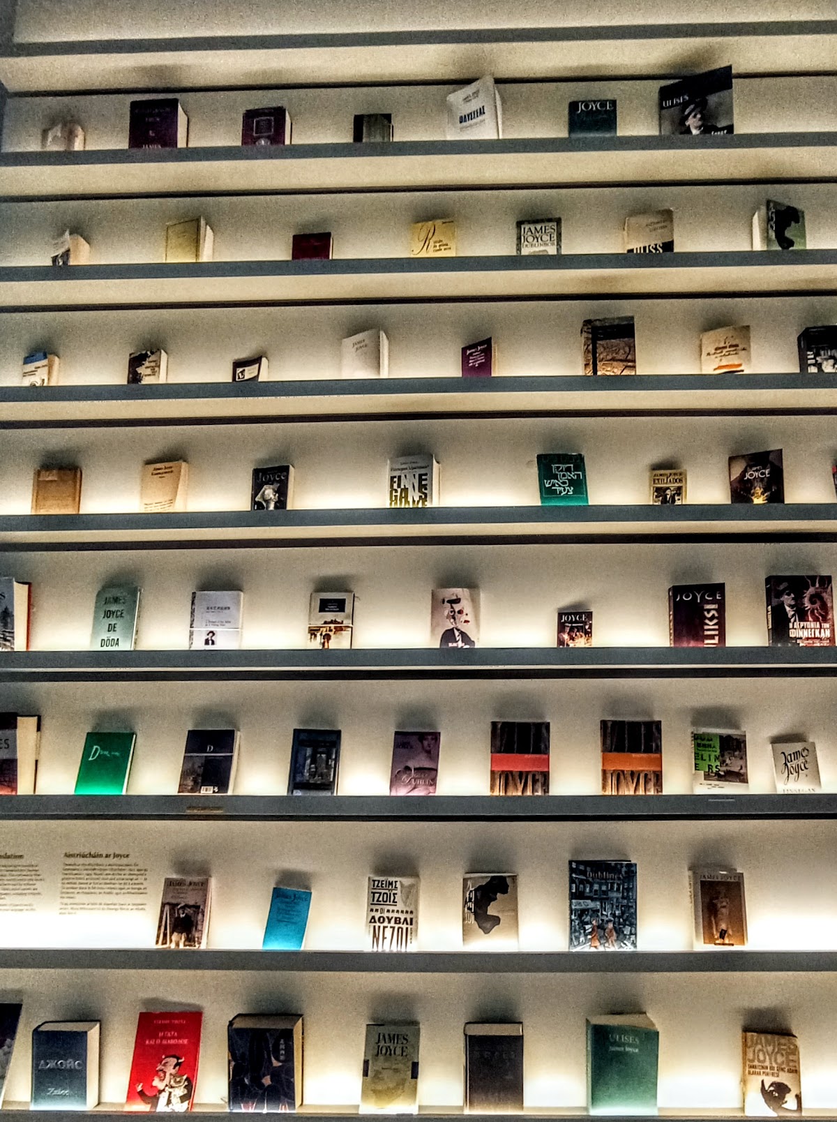 MoLI - Museum of Literature Ireland — photo 2