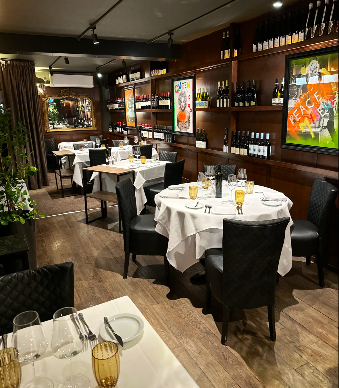 Rosa Madre, Dublin
